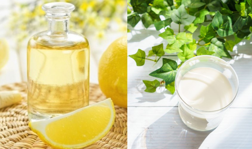 Tẩy trang bằng sữa tươi, dầu oliu và chanh 