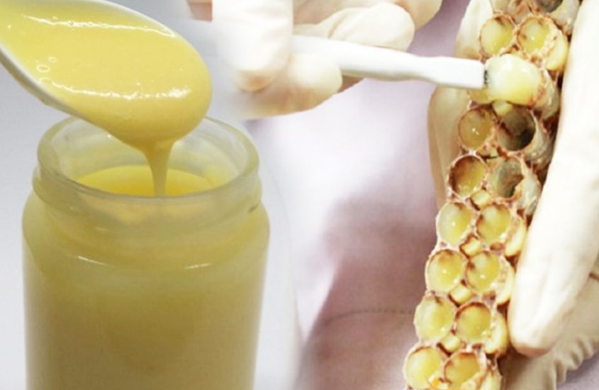 Sữa ong chúa nguyên chất và đảm bảo chất lượng sẽ mang hiệu quả tốt nhất