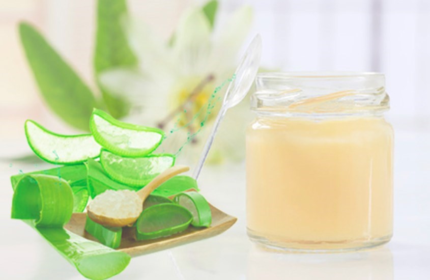 Công thức sữa ong chúa và nha đam giúp trị nám, làm trắng da