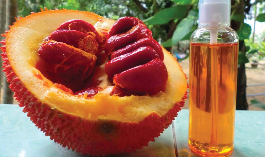 Tăng sức đề kháng