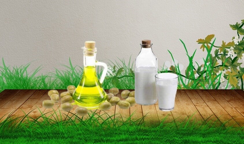 Dầu oliu và sữa tươi