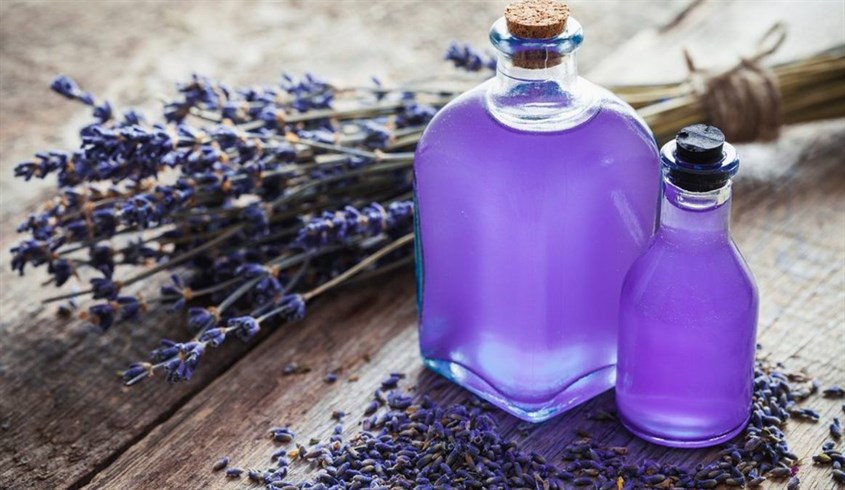 Tinh dầu oải hương là loại phổ biến nhất trên thị trường