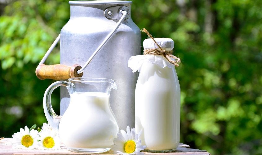 Sữa tươi không đường có nhiều chất dinh dưỡng tốt cho sức khỏe Sữa tươi không đường có nhiều chất dinh dưỡng tốt cho sức khỏe