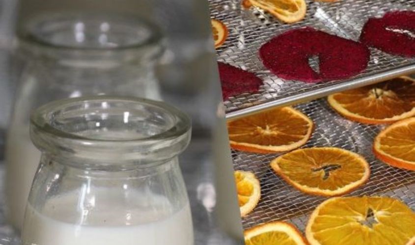 Tích hợp chức năng sấy hoa quả và làm sữa chua