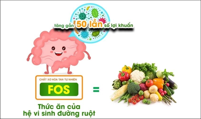 Chất xơ FOS trong sữa có lợi cho tiêu hóa của trẻ