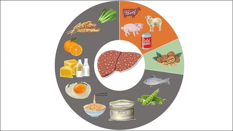 Người bệnh viêm gan B cần có một chế độ ăn uống lành mạnh, cân bằng