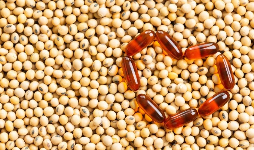 Với 1200 mg lecithin, bạn có thể chia thành 2 - 3 liều để sử dụng trong ngày