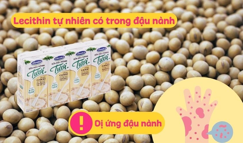 Lốc 4 hộp sữa đậu nành tươi Vinamilk hộp 180 ml chứa Lecithin tự nhiên phụ nữ sau sinh nên dùng