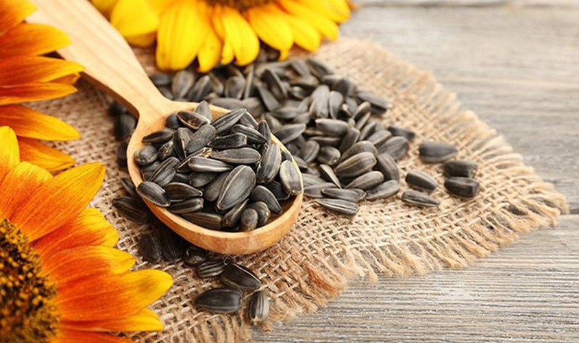 Kem dưỡng ẩm có thành phần từ hạt hướng dương