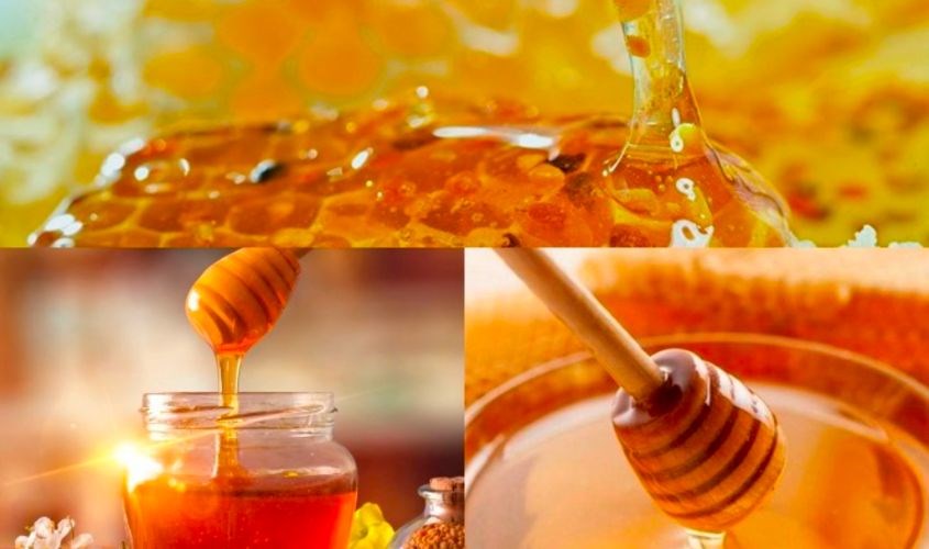 Mật ong có đặc tính kháng khuẩn giúp vết thương nhanh lành