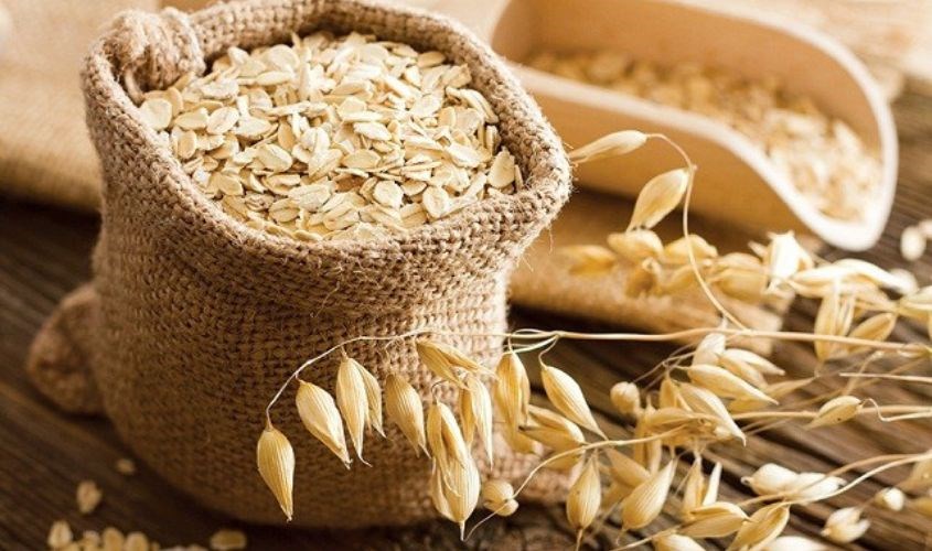  Phân biệt yến mạch dựa vào màu sắc và cảm nhận