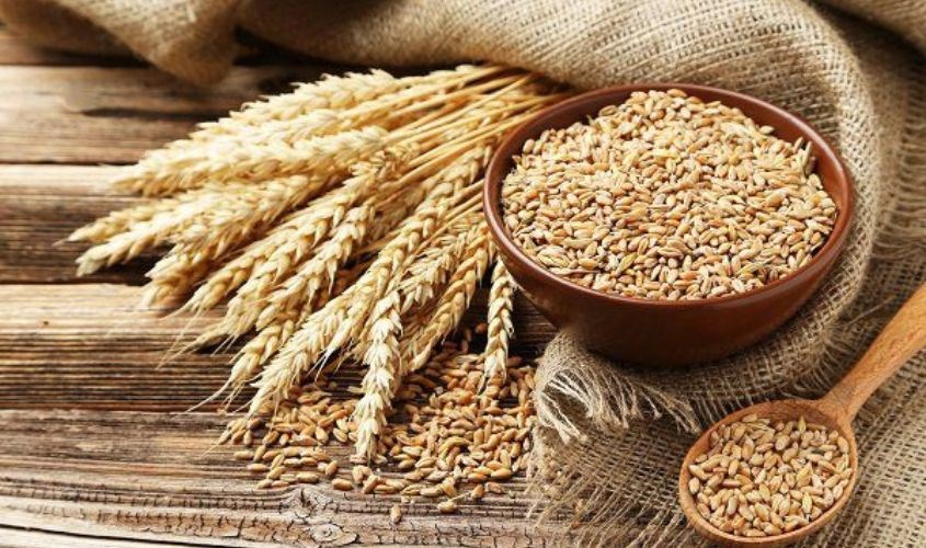 Phân biệt yến mạch dựa vào hạn sử dụng