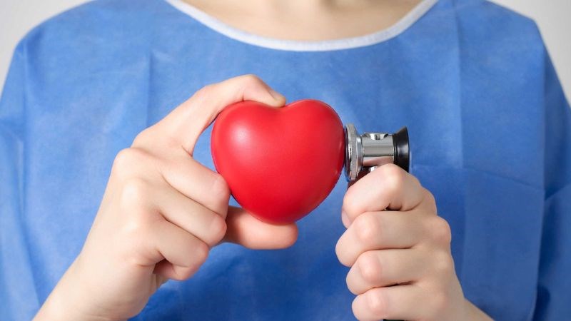 Nấm linh chi được chứng minh cải thiện các yếu tố tim mạch