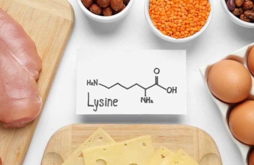 Lysine là gì?