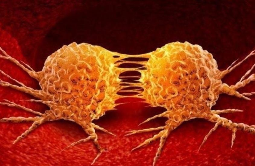 Giảm sự tăng trưởng của tế bào ung thư