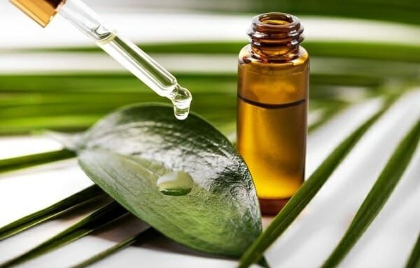 Trị hăm tã cho trẻ bằng tinh dầu tràm trà