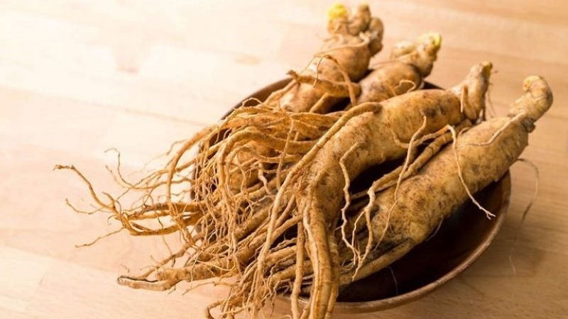 Nhân sâm giúp giảm viêm nhiễm và làm dịu triệu chứng của viêm đại tràng