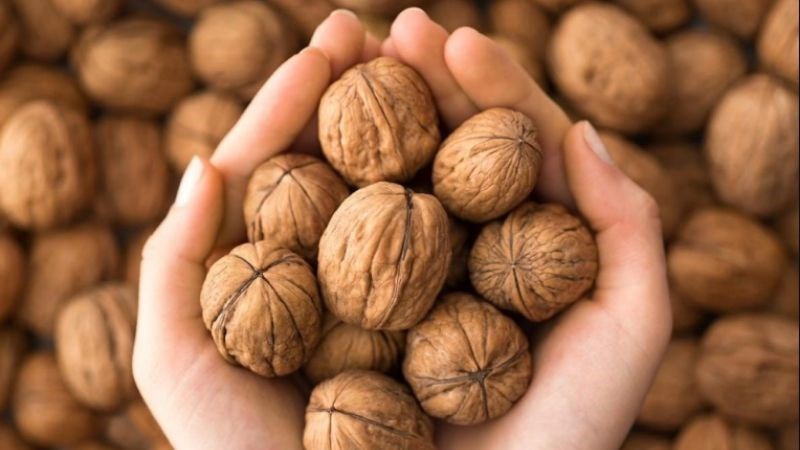 Quả óc chó giúp cải thiện sức khỏe đường ruột và tăng cường sức đề kháng