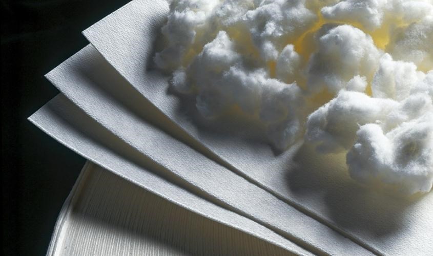 Bột giấy nguyên chất để sản xuất khăn giấy khô