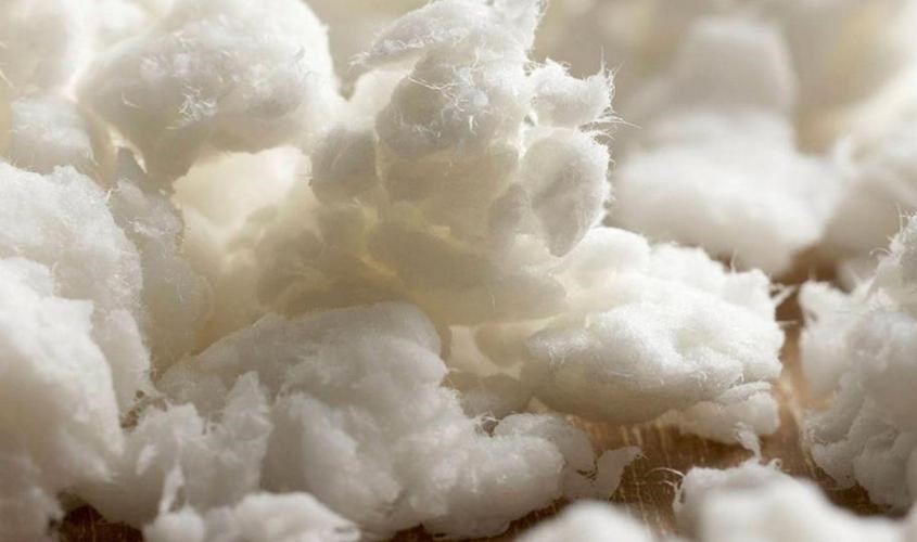 Bột giấy nguyên sinh để sản xuất khăn giấy khô