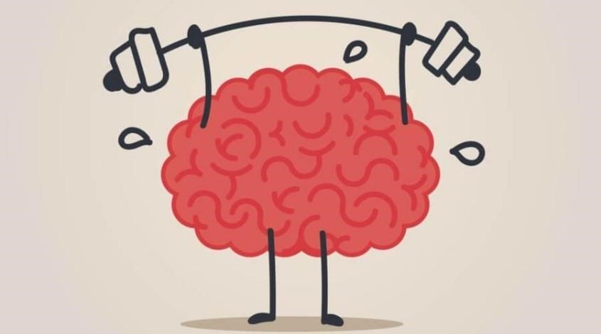 Sử dụng nghệ mật ong giúp cải thiện chức năng não bộ