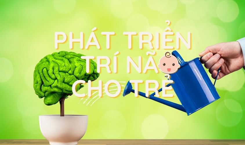 Sắt nuôi dưỡng trí não của trẻ