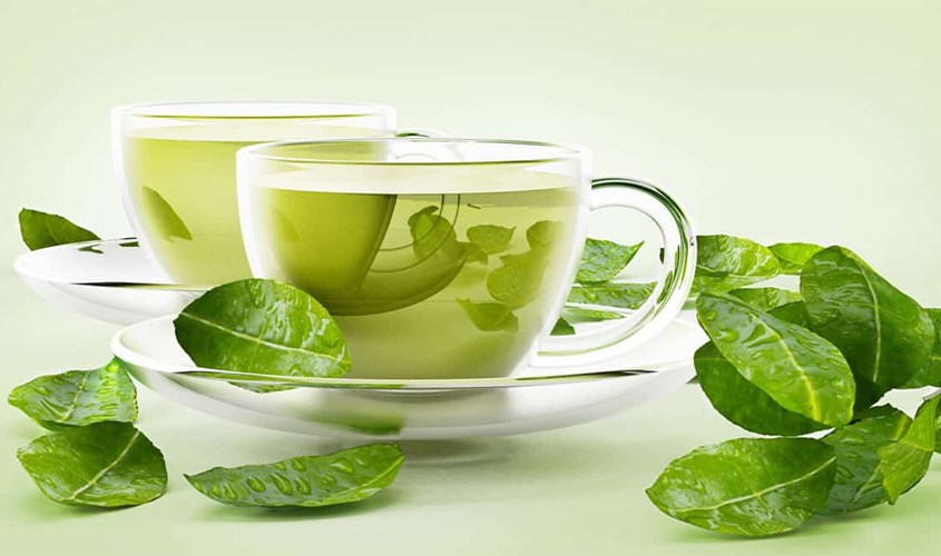 Không phải ai cũng thích hợp sử dụng chè vằng giảm cân Không phải ai cũng thích hợp sử dụng chè vằng giảm cân