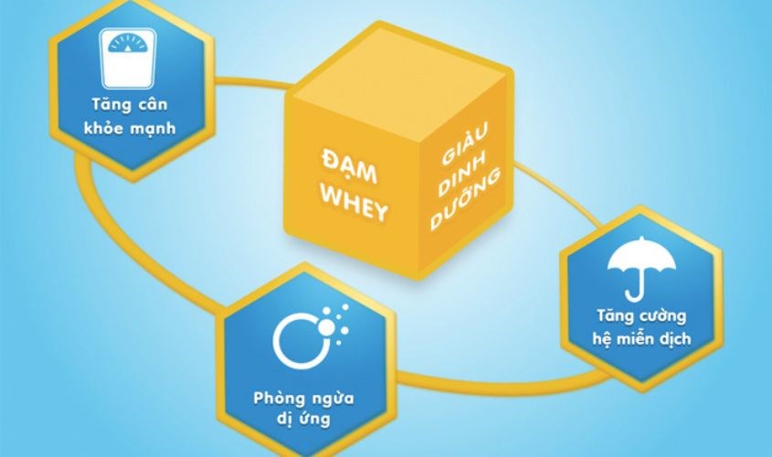 Nên mua sữa chứa đạm Whey để giúp bé tăng cân tốt, tăng cường đề kháng