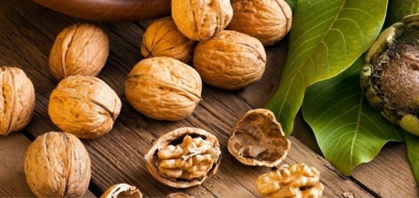 Hạt óc chó với thành phần giàu dinh dưỡng