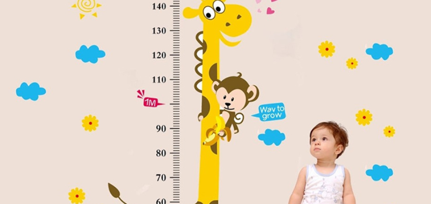 Với nhiều vitamin và khoáng chất hỗ trợ tăng chiều cao ở trẻ