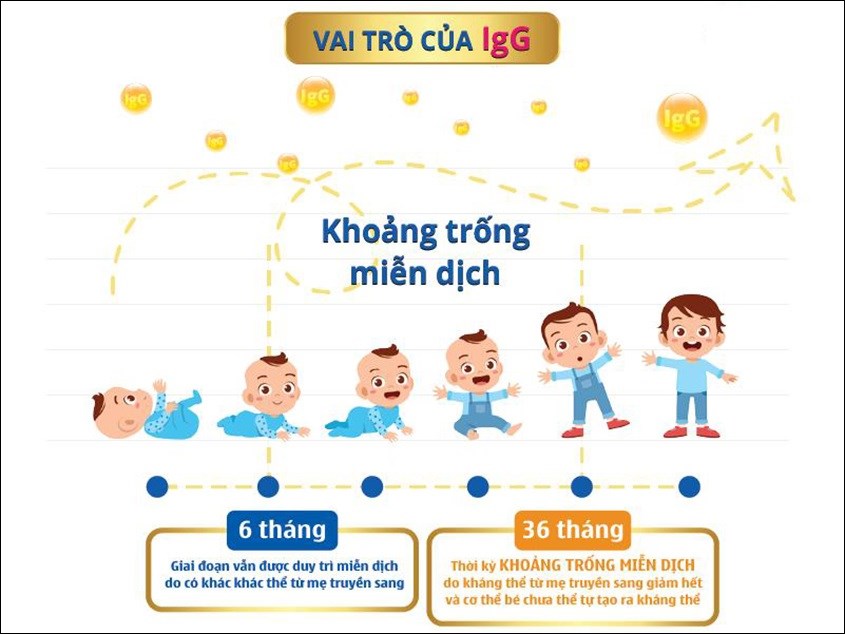 Kháng thể IgG từ sữa non giúp tăng cường miễn dịch và đề kháng cho trẻ