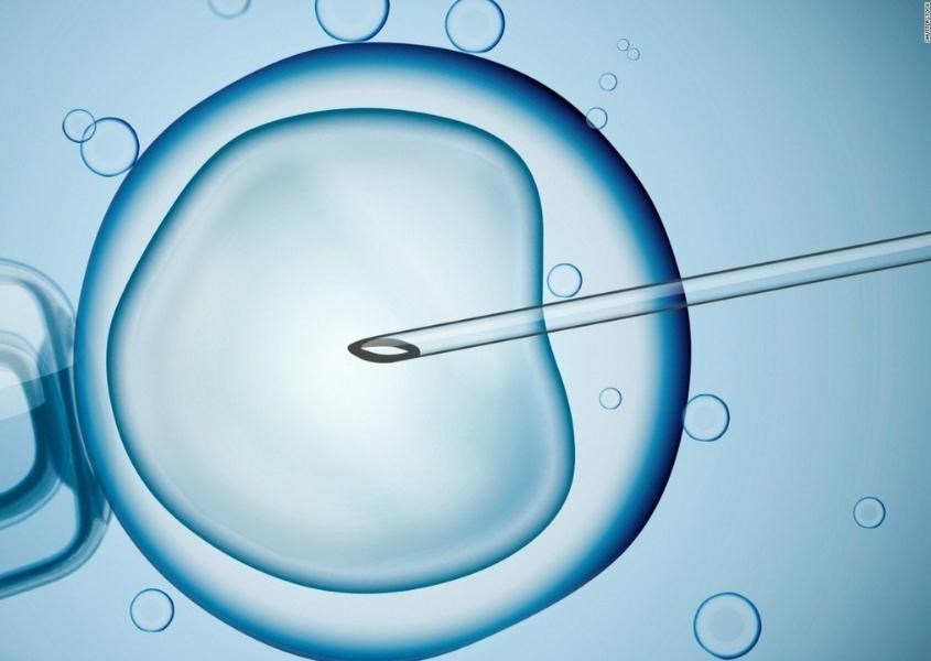 Dịch vụ của phòng khám rất đa dạng, bao gồm thụ tinh trong ống nghiệm Dịch vụ của phòng khám rất đa dạng, bao gồm thụ tinh trong ống nghiệm