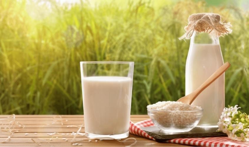 Sữa gạo là loại sữa lành tính và ít gây dị ứng