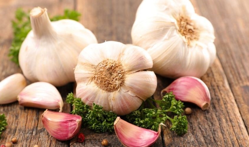 Tỏi giúp ngăn ngừa dị tật bẩm sinh ở thai nhi