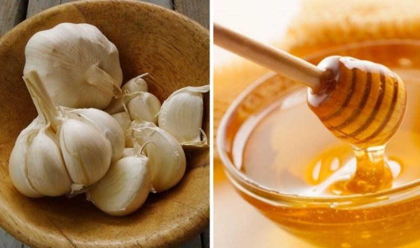 Uống tỏi ngâm mật ong hỗ trợ cải thiện trí nhớ