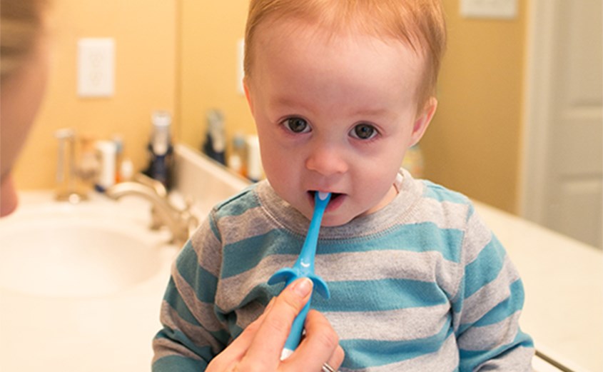 Sử dụng bàn chải cho bé Dr.Brown's sợi nilon siêu mềm cho bé