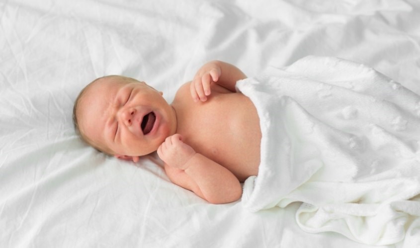 Trẻ bất dung nạp Lactose thường hay quấy khóc