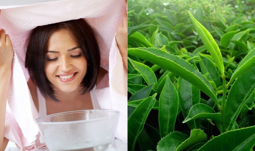Xông mặt đẩy mụn với trà xanh