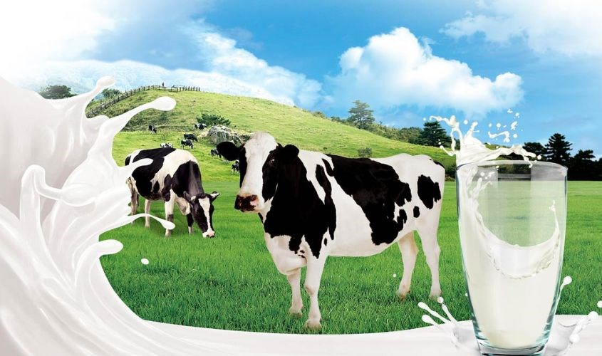 Bố mẹ nên ưu tiên chọn loại sữa có thành phần tự nhiên Bố mẹ nên ưu tiên chọn loại sữa có thành phần tự nhiên