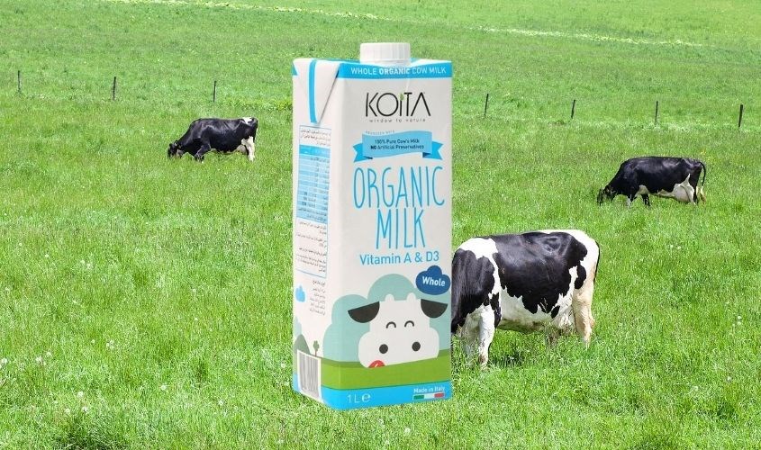 Sữa bò tách kem có đường hữu cơ Koita Sữa bò tách kem có đường hữu cơ Koita