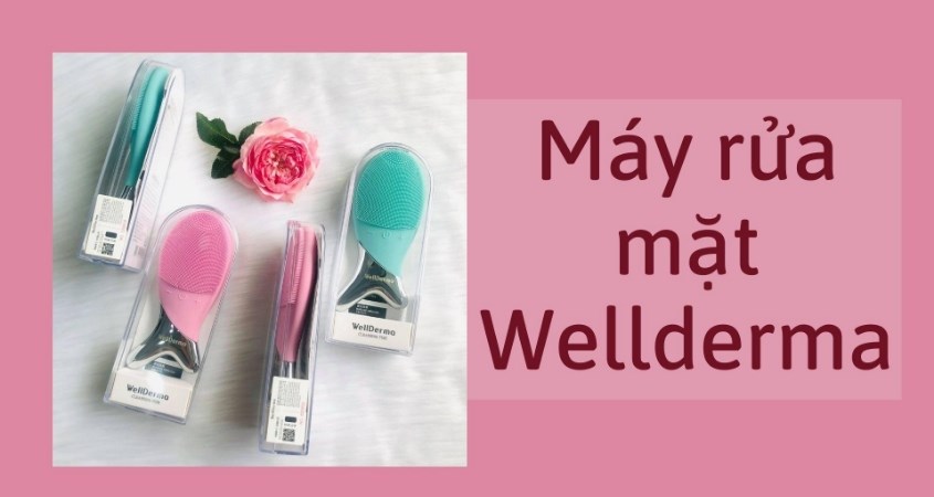 Tổng quan về thương hiệu