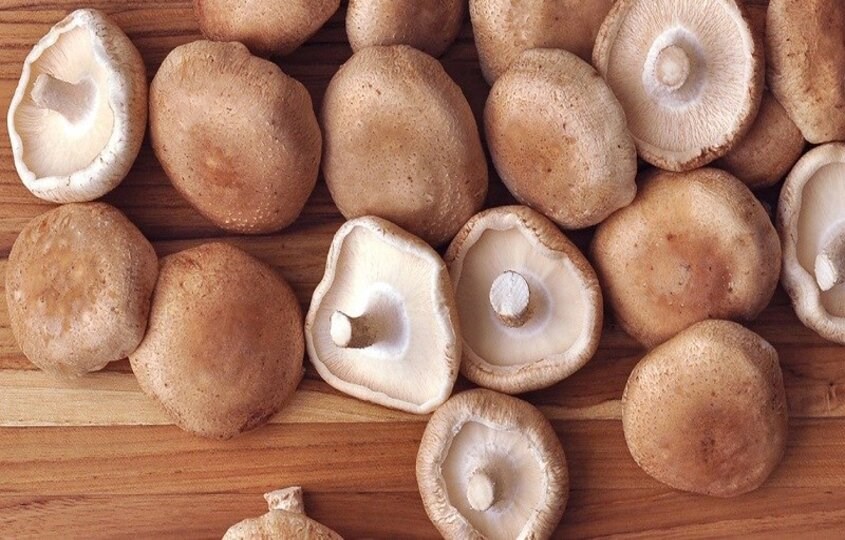 Nấm đông cô có chứa nhiều chất dinh dưỡng