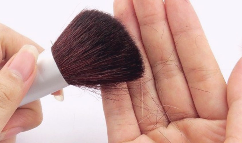 Cọ kém chất lượng sẽ dẫn đến hiện tượng rụng lông Cọ kém chất lượng sẽ dẫn đến hiện tượng rụng lông