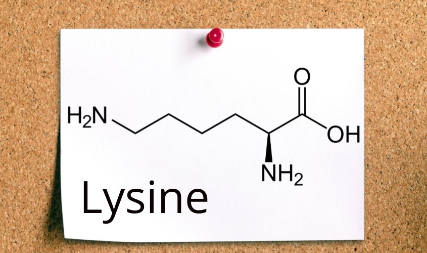 Lysine là một loại acid amin thiết yếu