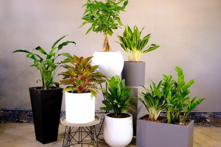 Dạy bé yêu cây cỏ để hình thành ý thức bảo vệ môi trường. Ảnh: Freepik Dạy bé yêu cây cỏ để hình thành ý thức bảo vệ môi trường. Ảnh: Freepik