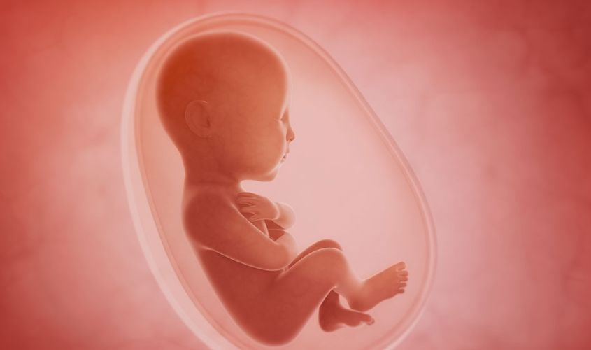 Dị tật sọ não thai nhi do mẹ dùng retinoid