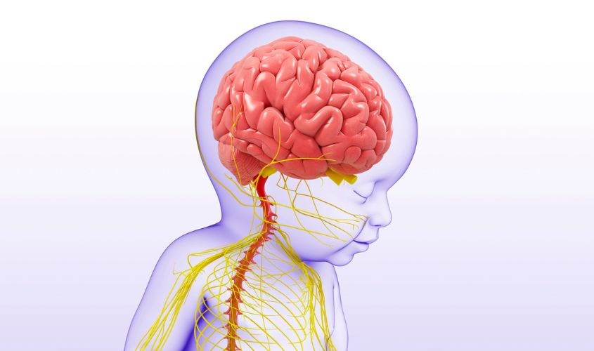 Mẹ dùng retinoid khiến hệ thần kinh của bé bị tổn thương