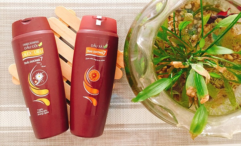 Dầu gội Thái Dương không chỉ được ưa chuộng trong nước mà còn xuất khẩu sang nước ngoài