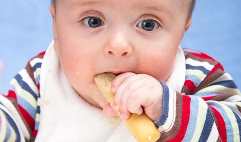 Việc để bé ăn bánh ăn dặm Gerber còn giúp rèn luyện kỹ năng nhai, khả năng cầm nắm của bé
