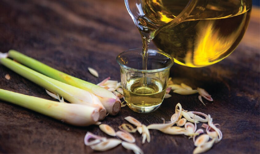 Tác dụng chống oxy hóa